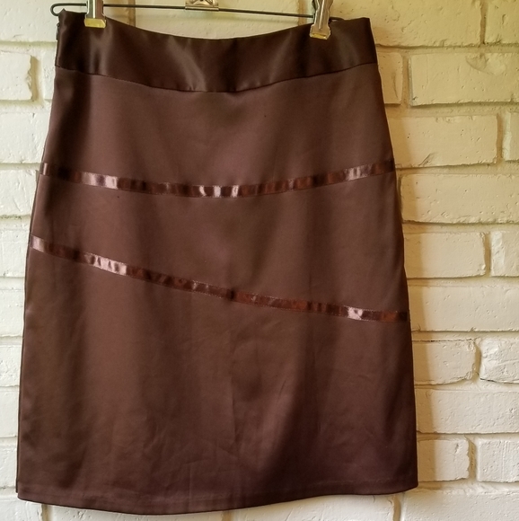 Chocolate Brown Shiny Skirt - Picture 2 of 6
